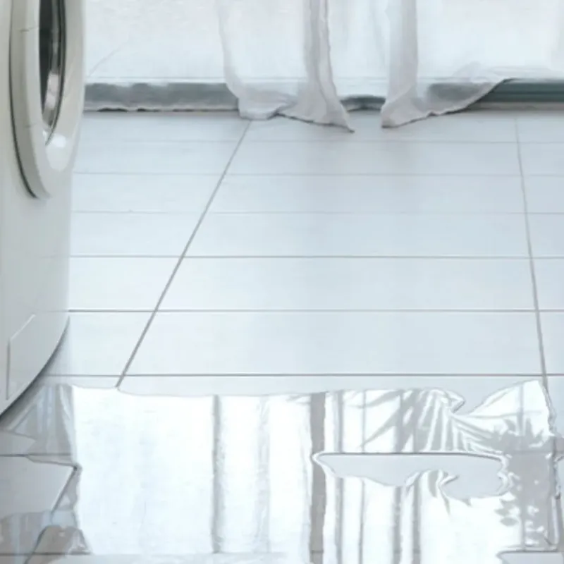 Appliance Leak Cleanup in South Bend, WA