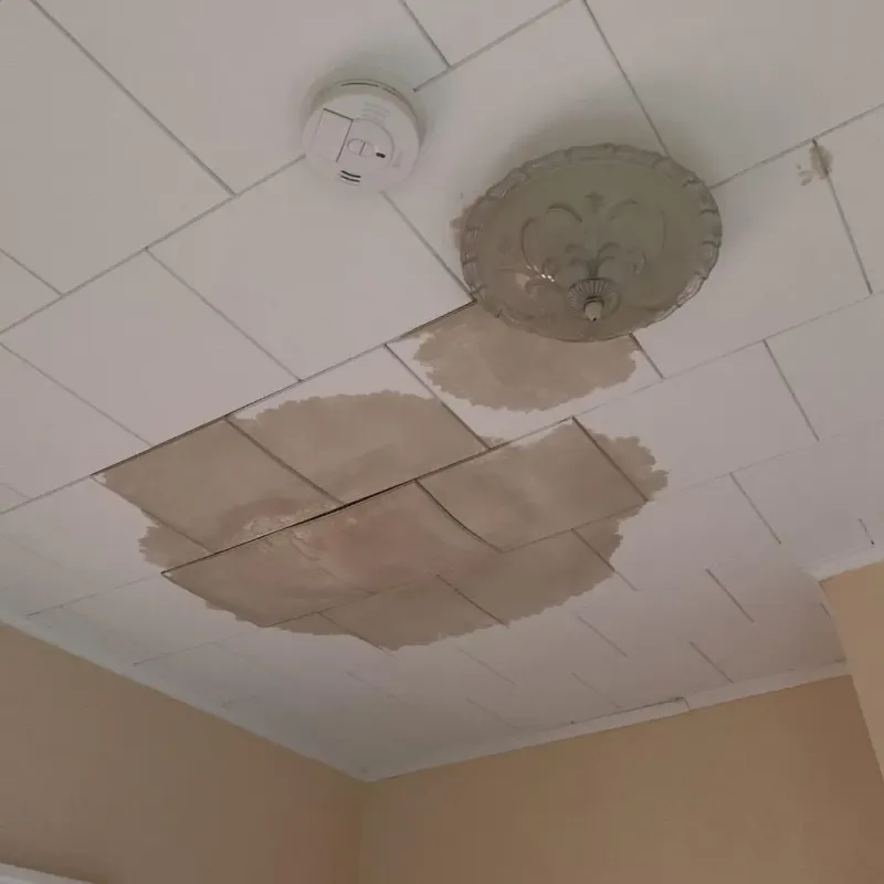 Ceiling Water Damage Repair in South Bend, WA
