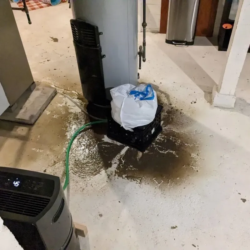 Sewage Backup Cleanup Service in South Bend, WA